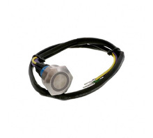Obraz AV2521000T5Q04.