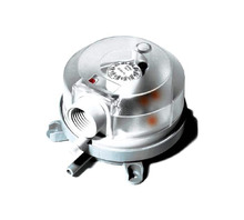 Obraz DBL-205D.