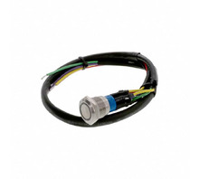 Obraz AV1920RG12T5Q04.