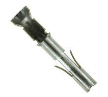 Obraz 350536-1.